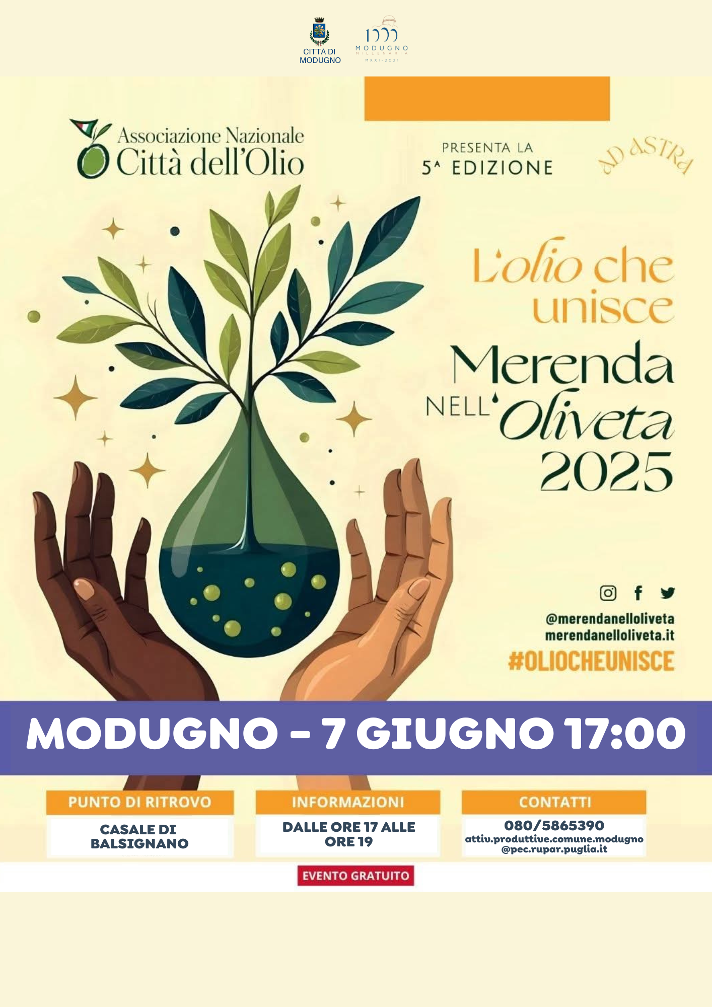 Immagine 1
